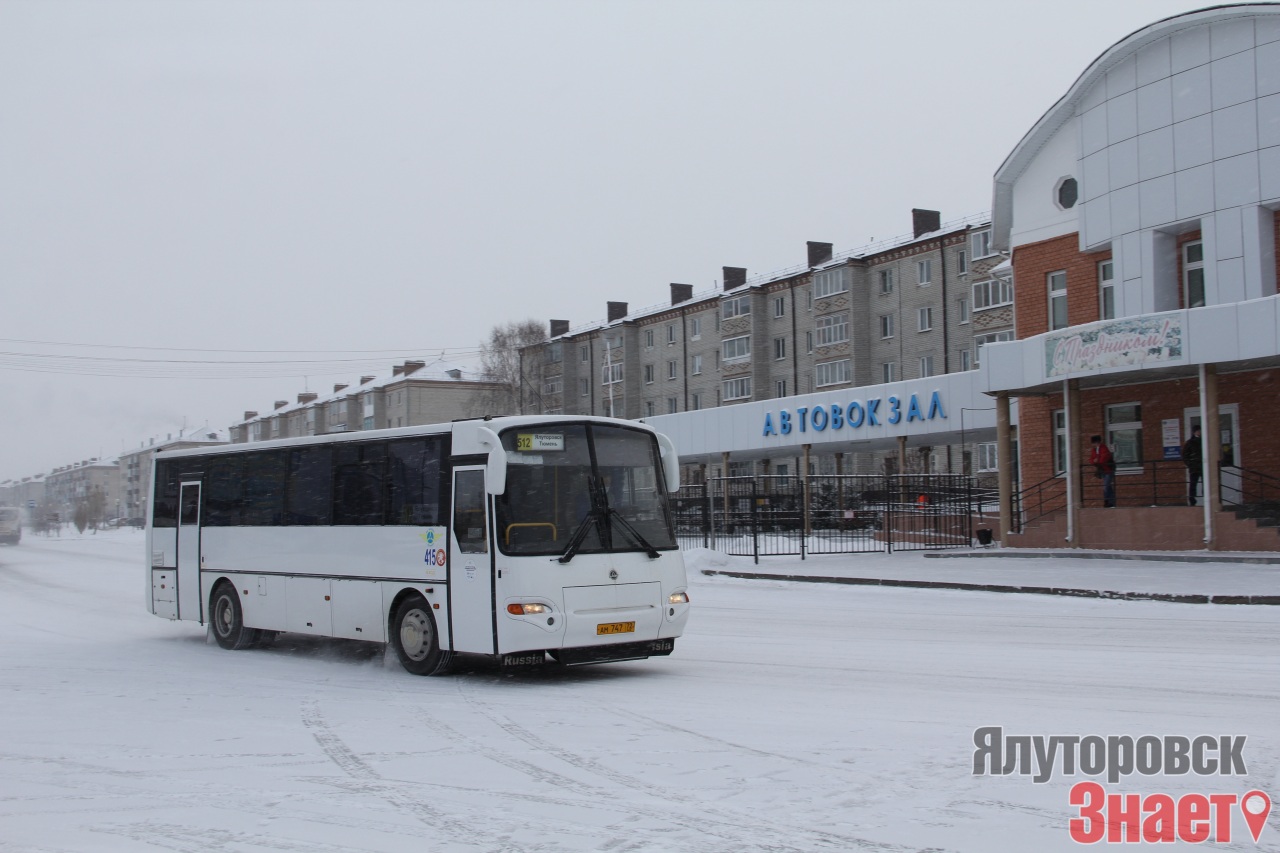 Тюмень ялуторовск. Село Беркут Ялуторовского района Тюменской области. Тюмень Ялуторовск 512 автовокзал '. Автобус Ялуторовск Тюмень. Тюмень Ялуторовск автобус 511.