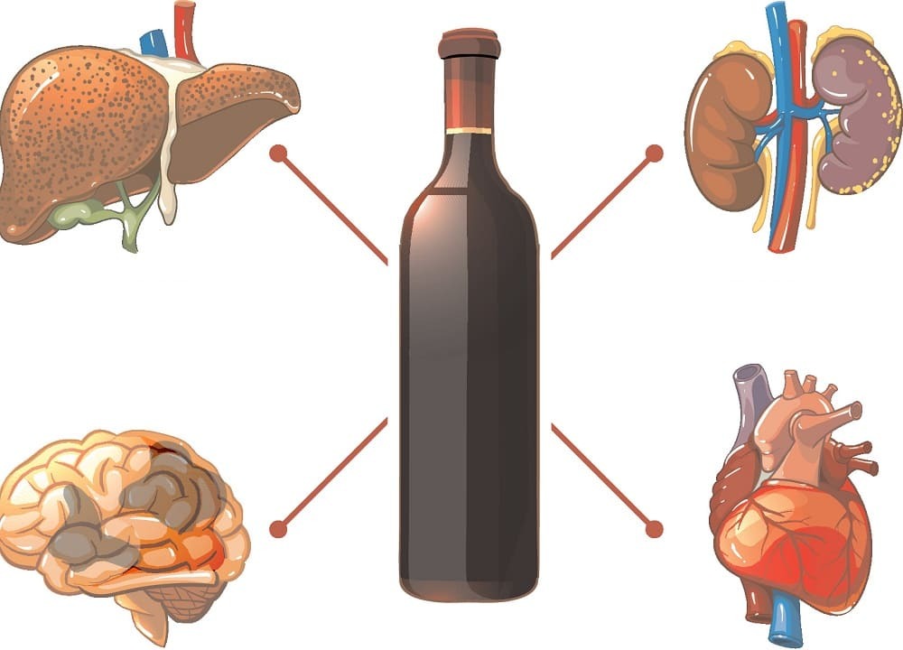 Алкогольные эффекты. Влияние этанола на органы.